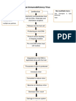 Human Immunodeficiency Virus: Lentiruvirus