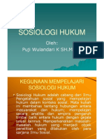 hand out sosiologi hukum.pdf
