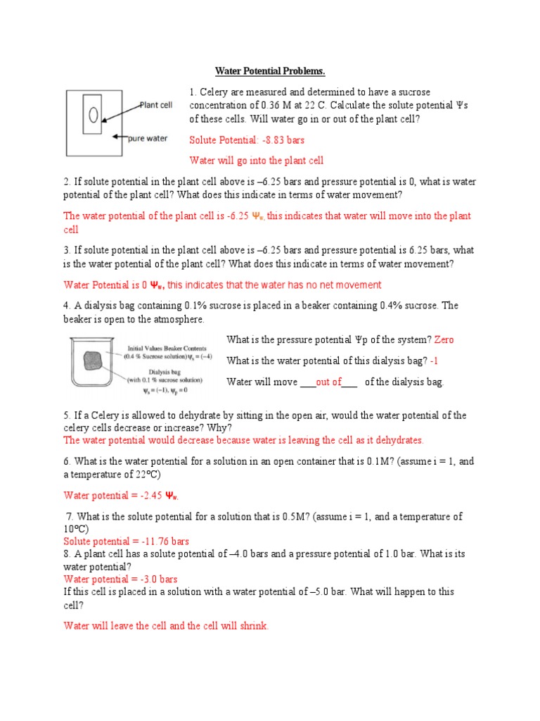 Water Potential Calculation Problems | PDF