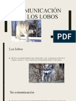 Comunicación en Los Lobos