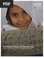 Download Pakistan Six Month Report by US Fund for UNICEF SN48176964 doc pdf