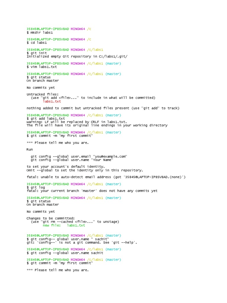 Git Initialization and Config Error | PDF