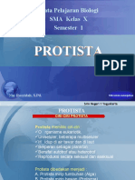 7 D 12 Protista