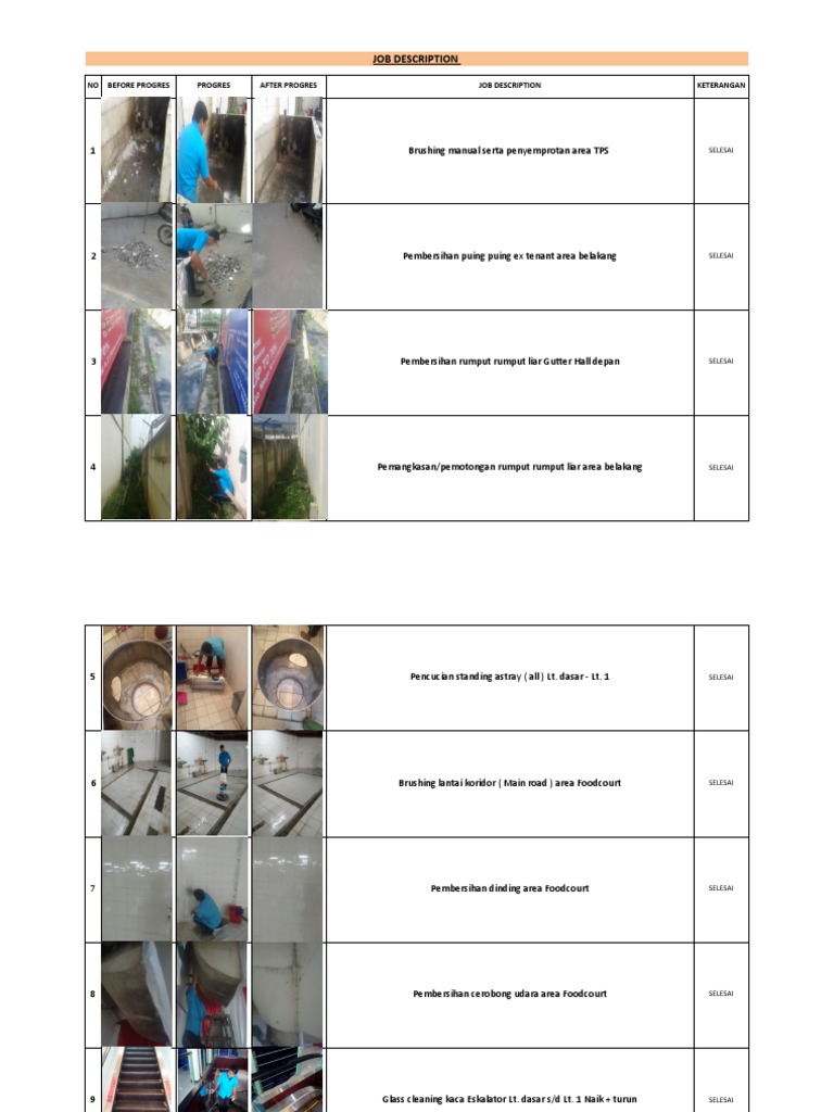 Job Description 1 Brushing Manual Serta Penyemprotan Area TPS PDF