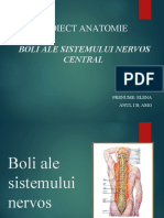 Boli Ale Sistemului Nervos - Proiect