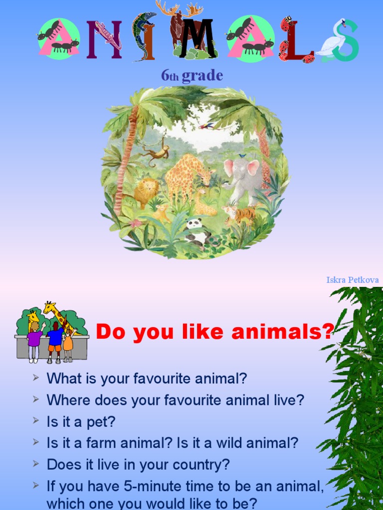 Representing Animals: An Interactive Document on Classifying, Comparing ...