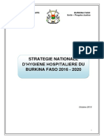 Strategie Nationale de L'hygiene Hospitaliere BF PDF