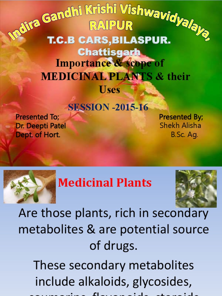 Importance and Scope of Medicinal Plants | PDF | Medicinal Plants ...