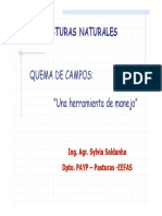 29 - Pasturas Naturales, Quema de Campos