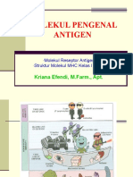 2 Molekul Pengenal Antigen