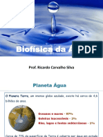 Biofísica da Água_Aula 1_Ricardo.pdf