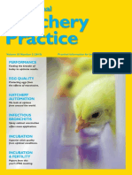 Hatchery Practice: International