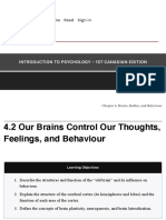 4.2 Our Brains Control Our Thoughts, Feelings, and Behaviour