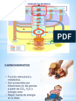 Carbohidratos