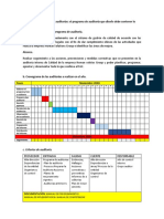 programa auditoria interna