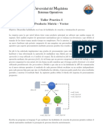 Taller Practico I - Procesos Matriz-Vector