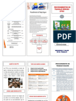 Procedimientos Trabajo Seguro FOLLETO PDF