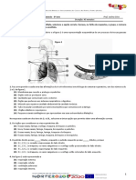 Sistema respiratório humano e trocas gasosas