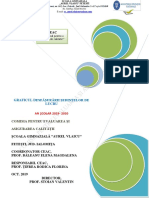 Grafic Sedinte CEAC 2019 - 2020 PDF