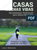 13-Casas-Muchas-Vidas-Herramientas-Sistemicas.pdf