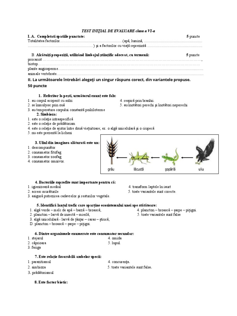 2020 Test - Initial - de - Evaluare CL 6 | PDF