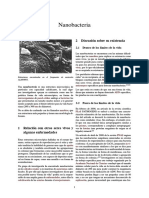 Nano Bacteria PDF