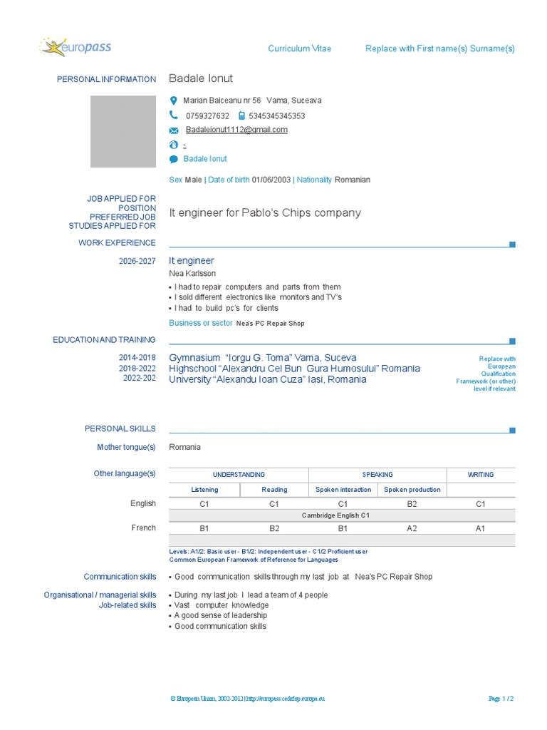 Europass CV Template | Download Free PDF | Learning | Cognition