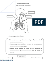Aparato Respiratorio 2º PDF