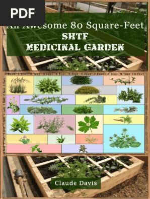 Medicinal Garden