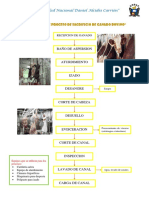 Flow Sheet de Proceso de Sacrificio de Ganado Bovino PDF
