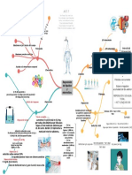 MAPA MENTAL: Reposición de Líquidos y Electrolitos