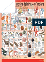 Invertebrats PDF