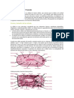 3. Estructura y funcion de la celula (1).pdf