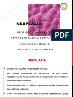 Tema 4 Neoplasia Parte I