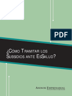 Subsidios Essalud.pdf