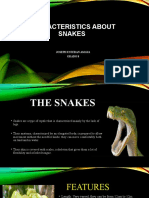 Caracteristicas de Las Serpientes