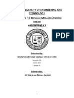 Assignment #3 DBMS (2019-SE-206) PDF