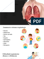 Raíces Del Sistema Respiratorio