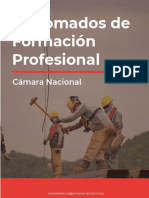 Cámara Nacional Perú 1.pdf