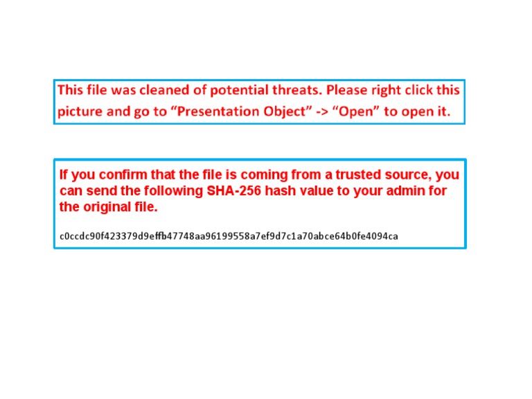 SHA-256 Hash for File Verification | PDF