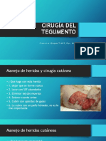 Cirugia Del Sistema Tegumentario PDF