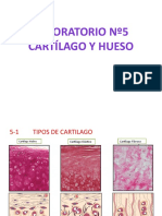 Laboratorio 5