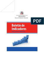 Boletin Indicadores 2010 PDF