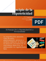 Principio de La Hipoteticidad