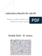 Laboratory Results For Lab #3: Please Use These Slides To Answer The Laboratory Report Questions