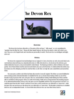 The Devon Rex