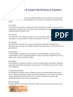 Cell Parts and Their Functions