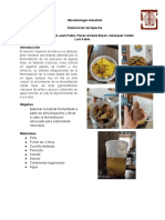 Tepache PDF