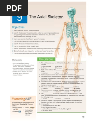all about skull.pdf