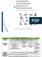 Cronograma de actividades semestre B 2020 práctica profundización atención rehabilitación paciente